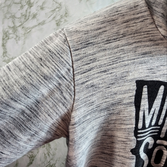 Bella Canvas Fleece Collection Minnesota Hoodie - Picture 3 of 11